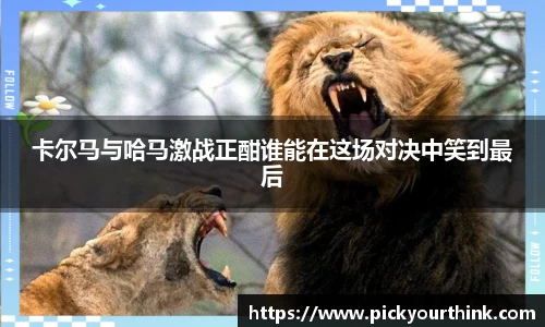 三亿体育卡尔马与哈马激战正酣谁能在这场对决中笑到最后